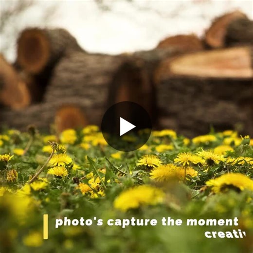 Boost Business Growth with Quality Visuals | Cameron Weaver posted on the topic | LinkedIn