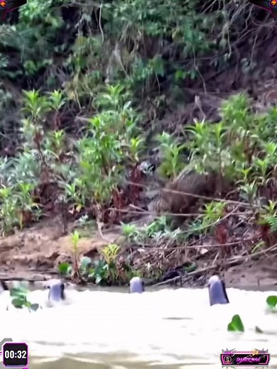 84K views · 101 reactions | Crazy moments caught on camera! From shocking accidents to unbelievable fails — every second will leave you stunned. Watch till the end and don’t forget to follow for more wild content! #ViralVideo #CaughtOnCamera #UnbelievableMoments #CrazyFootage #MustWatch #DailyDose #OMGVideo #EpicFails #WildClips #ShockingScene #TrendingNow | Doctor IDZ | Facebook