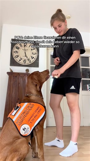Ich bin diesem Hund so unendlich dankbar🤍 #assistenzhund #hund