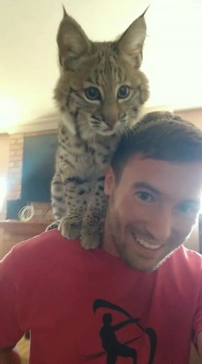 Tony's Wild Life on TikTok