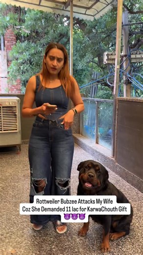 Namita Dua - Namitaology (BUBZEE , LADY OLLIE & ZOEY) on Instagram: "How To Get Rid Of KarwaChauth Gift Expenses? Get A Rottweiler 😈😈😈 . . . [rottweiler dog,rottweiler puppies,rottweiler puppy,rottweilers,funny rottweiler,rottweiler guard dog,rottweiler protection dog,rottweiler training,cutest rottweiler dogs,rottweiler funny,rottweiler for sale,funny rottweiler compilation,rottweiler compilation,rottweiler dogs,rottweiler puppies for sale,own rottweiler,rottweiler 101,rottweiler tips,male r