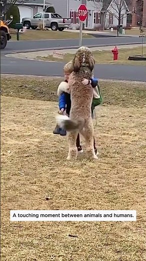A touching moment between animals and humans.