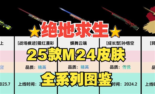 【绝地求生PUBG吃鸡】25款M24皮肤全系列图鉴（全网最新最全）