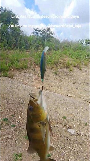 as melhores isca artificial para tucunaré #artificial #iscaartificial #pesca #pescaria #shopee