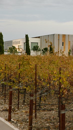 7.1K views · 76 reactions | Pariente Vivo, un proyecto innovador de...