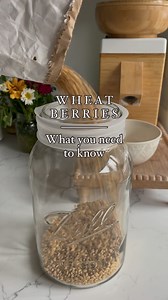 🌾Comment “FLOUR” and I will send you the link to the organic wheat berries I use. Make sure you are following @pivotfarm so the link makes it to your inbox! . Hard Wheat vs. Soft Wheat- . There are two primary types of wheat grown: hard and soft. The hard wheat category includes hard red winter wheat, hard red spring wheat, hard white wheat, and durum. Hard wheats are high-protein wheats (typically between 10 and 14 percent protein). The higher the amount of protein, the more gluten the flour c