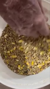 138K views · 3.4K reactions | Muchos me han preguntado sobre el alimento que doy, me han pedido que lo suba de nuegvo y pues ahí va. Es como lo hago yo desde hace muchos años. Espero les sirva | Silvestre Carvajal Duarte | Facebook