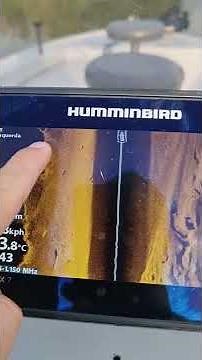 Como encontrar ponto de pesca - sonar Humminbird Helix 7 SI