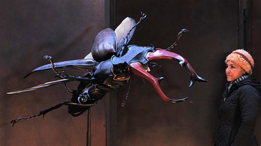 New Animal Armor Exhibit coming to the Putnam