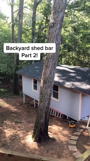 Part 2 of renovating this big a$$ shed in our backyard into a bar #backyardmakeover #shedbar