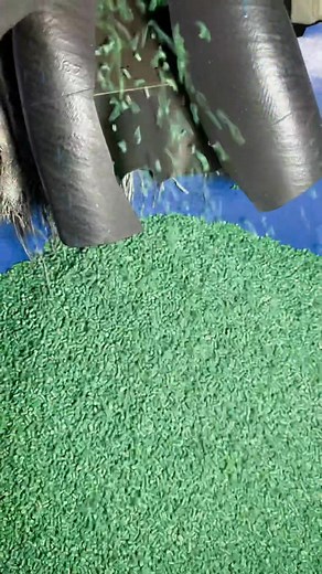 From Waste to Gold | Plastic Dana Manufacturing Process Explained😱 #plastic #waste #gold | Born in Factory