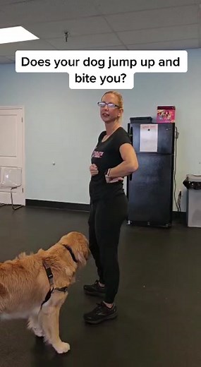 Stop Your Dog's Jumping and Biting Behavior