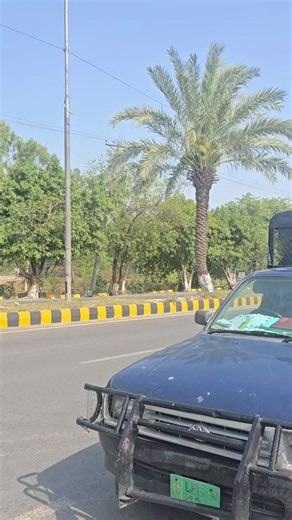 Over speeding and Riding with out helmet causes death Be careful @TRAFFIC POLICE GUJRAT OFFICIAL 😭😭✅✅💔🙏🙏😭💔✅✅🥹💔✅🙏👍#🥺🥺🙏🙏foryoupage☺☺plz #pppp💔💔💔pppppp🥲😭💔💔 #maandamano
