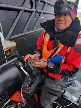 Gentoo Penguin Welcome Committee! Arriving at Brown Base 🐧🇦🇷