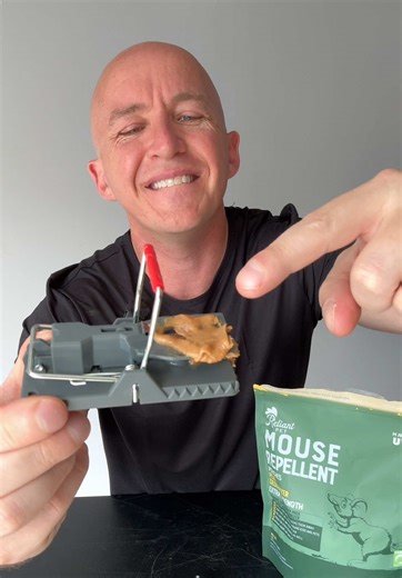 Effective Mouse Repellant Pouches for Your Home