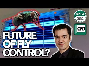 What does the future of LED fly control look like?