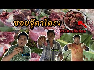 ซอยจุ๊คาโครง ก้อยงัวน้อยเกียกตม
