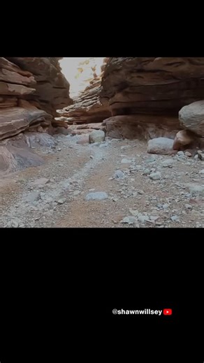 Full Video on Youtube- Shawn Willsey: Geology Explained Video Title- Grand Canyon’s Iconic Great Unconformity: 1.3 billion years of geologic time! #fyp #shawnwillsey #geology #nature #science | Shawn Willsey