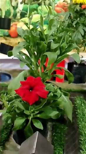 Integrated farming systems🛤️🌁🗾