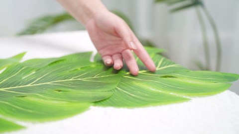 2 Pcs Artificial Palm Leaves Table Runners 72 Inch Long Tropical Palm Leaves Table Runner Faux Leaf Cloth for Wedding Hawaiian Luau Theme Party Supply Summer Decoration (Palm Leaf)