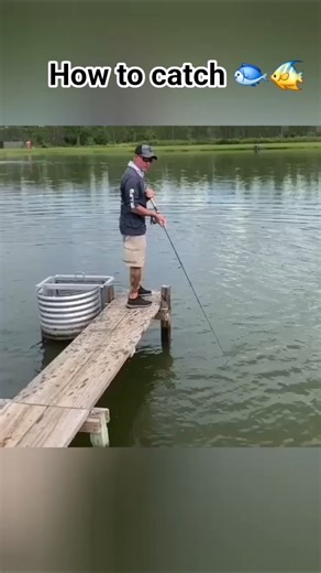 what a technic how to catch a fish 🐟 🙄 😒 #shortsfeed #fishing #justfishing