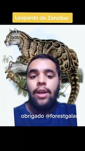 Descoberta do Leopardo de Zanzíbar: O Resgate de uma Espécie Extinta