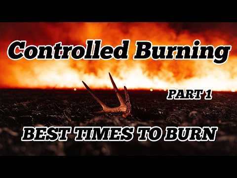 Controlled Burning | Flames to Phenomenal Habitat