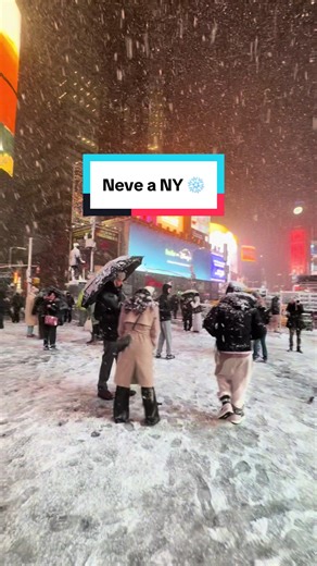 Snowstorm Closes New York Streets: A Storytime Experience