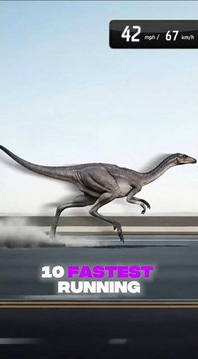 Top 10 Fastest Running Dinosaurs on Earth 🦖 | Fastest Dinosaurs #animals #dinosaurs