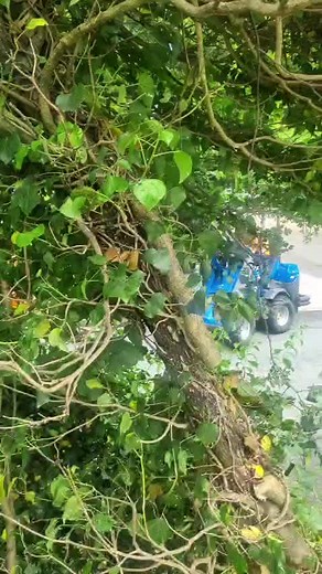 Watch the Grip Cut 150 Tree Shear in action on a MultiOne – effortlessly slicing through this overgrown bush. Whether you’re clearing, pruning, or managing woodland, this powerful combo delivers serious results in seconds. Compact, controlled, and built for demanding jobs. 🔧 Fully hydraulic 🪓 Cut & hold in one motion 💪 Ideal for tight access or small machines ➡️ Got questions? Want to see if it’ll fit your setup? Drop us a message or give us a call. #Robustrack #TreeShear #GripCut150 #MultiOn