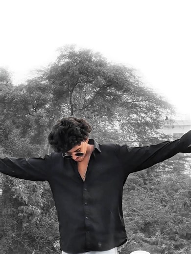 Discover the Adventure of One Piece Anime