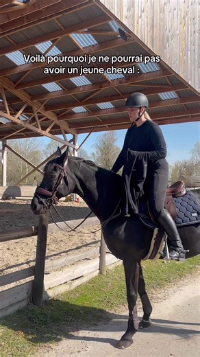 Je suis habituée à un cheval trop sage 😂 #cavalier #cso #equitation #cheval #motivation