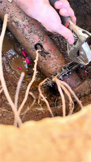 Installing a two way clean-out on clay pipe #plumbing #plumbingtime #bluecollar #tradesmen #plumber