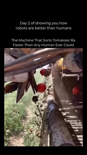 Robotics on Instagram: "Follow US (@ROBOTICS) to learn something NEW everyday 🚀 Optical sorters now scan about 2,000 tomatoes a minute with computer vision, checking ripeness, size, and defects in milliseconds. Good fruit moves on, while dirt, rocks, and damaged tomatoes are instantly kicked out. Humans can sort around 2 tomatoes per second. These systems do about 33 per second, all day, every day, and they never need a paycheck. #ai #artificial #artificialintelligence #aiagents #chatgpt #opena