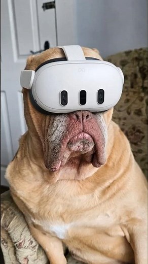 6 VR Games EVERYBODY is playing right now...