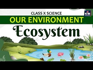Our Environment Part-1 | CBSE Class 10 Science (Biology) Explanation | ecosystem | NCERT