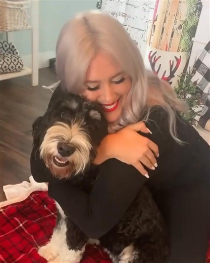 7.7K views · 336 reactions | Little behind the scenes with @briannecosmetics  #Dog #Animal #Love #Jokes #Comedy #Cuteness #Dogs #MakeUp #Entrepreneur #MakeUpBusiness #PhotoShoot #Model #SilverHair #Christmas #ChristmasShoot #Animals #GetAnimalsOfInstagram #DogsOfInstagram #AnimalsOfCanada #Canadian #CanadianDog #CanadaDog | Hermes and madi | Facebook