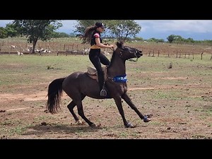 MUITAS AVENTURAS NA NOSSA VIAGEM!