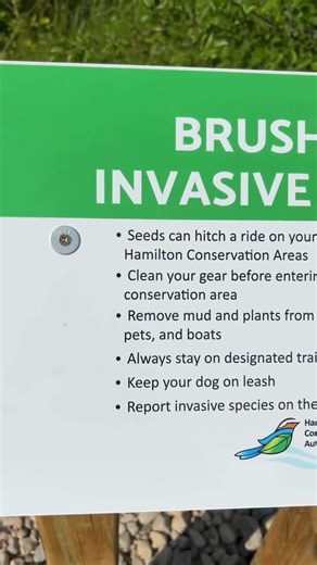 1.9K views · 18 reactions | 量Have you noticed our new boot brush stations on the trails? Over the past few months, we’ve been installing them at multiple trail locations to help stop the spread of invasive species. A quick brush before and after your hike helps protect our forests, wetlands, and wildlife! | Hamilton Conservation Authority | Facebook