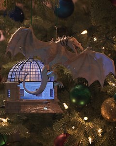 ✨ Final Days - Get It Before It's Gone! Don't miss Hallmark...