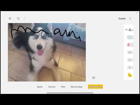 Ya saben por quien es claro es flower :(