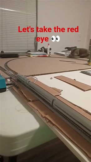 #amtrak #nscale #kato #trains #modeltrains #darci