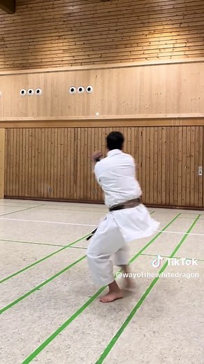 Heian-Shodan Karate Kata Tutorial for Beginners