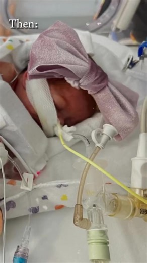 Mercato Grocery y Su Menú: ¡Dios, Te Necesito!