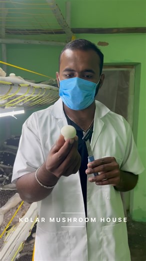 kolar Mushroom House on Instagram: "For Mushroom Training, Contact: 7899188945 5-Day Comprehensive Training Program Includes: 🍄 Cultivation of 3 Types of Mushrooms 🍳 Food Processing Techniques 💼 Sales Strategies: B2B (Business to Business) B2C (Business to Consumer) B2D (Business to Distributor) 📢 Marketing Mastery: Digital Marketing Offline Marketing"