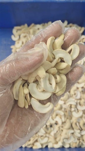 JH Cashew Nut Kernels – CAZOOTREE | Jumbo Half Cashews