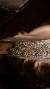 Warm sauna, calm mind, nature views.🌲🤍 #dolomites #seiseralm #visitsouthtyrol #mountainlovers #travelgram | Tirler - Dolomites Living Hotel, Seiser Alm / Alpe di Siusi