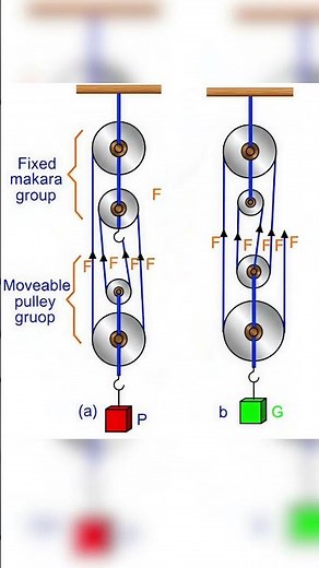 Pulley System Explained 🔧 | Fixed & Movable Pulley #trend #logicpuzzles #brainteaser #trollface