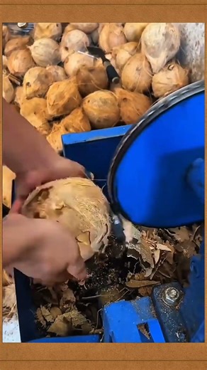 Easy Way to Remove Coconut Shell Using a Simple Tool #KitchenHacks #CoconutTool #DIYFoodHack #FoodS