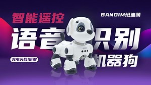 BANDIM班迪萌智能遥控语音识别机器狗拆解：双驱芯片 电位器，机电一体化设计
